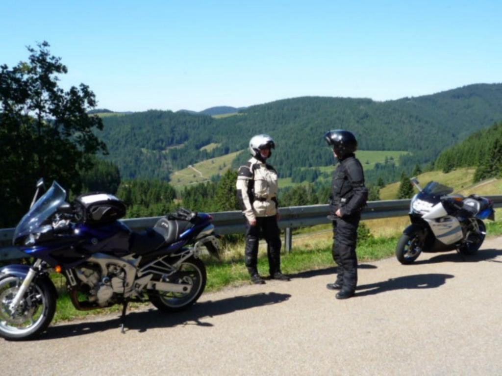 Haus Am Kreuzbuehl Leilighet Dachsberg im Schwarzwald Eksteriør bilde