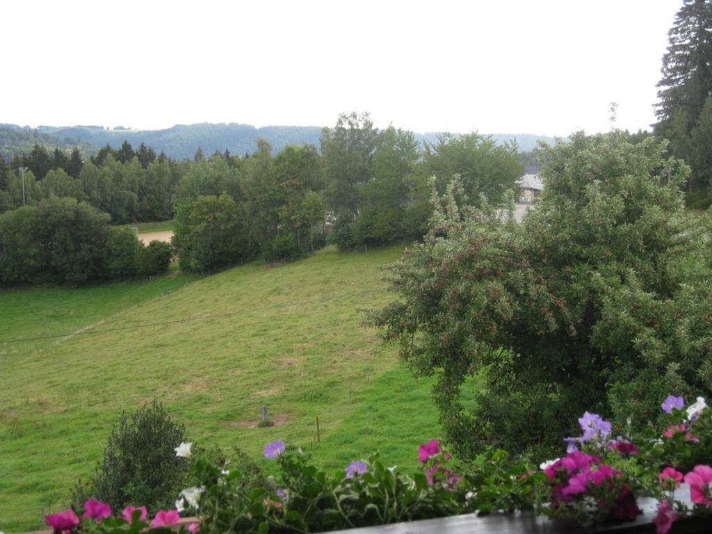 Haus Am Kreuzbuehl Leilighet Dachsberg im Schwarzwald Eksteriør bilde