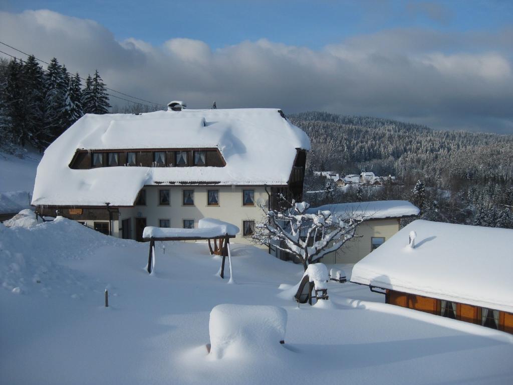 Haus Am Kreuzbuehl Leilighet Dachsberg im Schwarzwald Eksteriør bilde