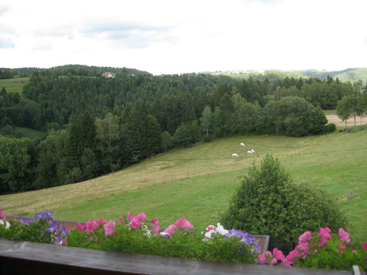 Haus Am Kreuzbuehl Leilighet Dachsberg im Schwarzwald Eksteriør bilde