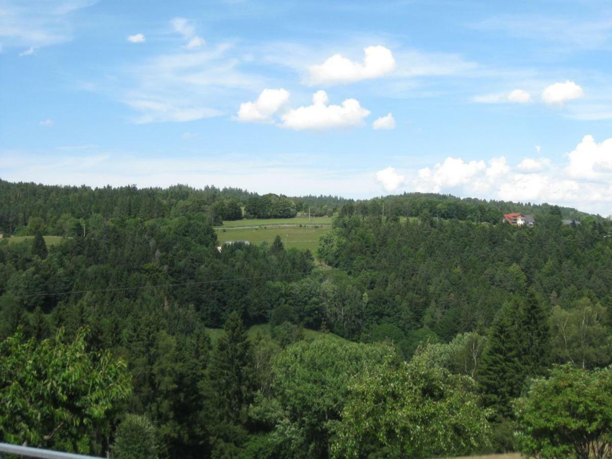 Haus Am Kreuzbuehl Leilighet Dachsberg im Schwarzwald Eksteriør bilde